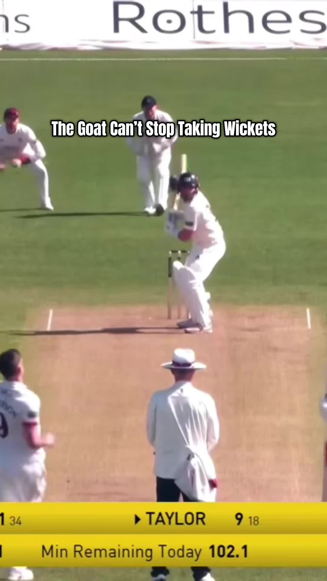@cricket_hub66