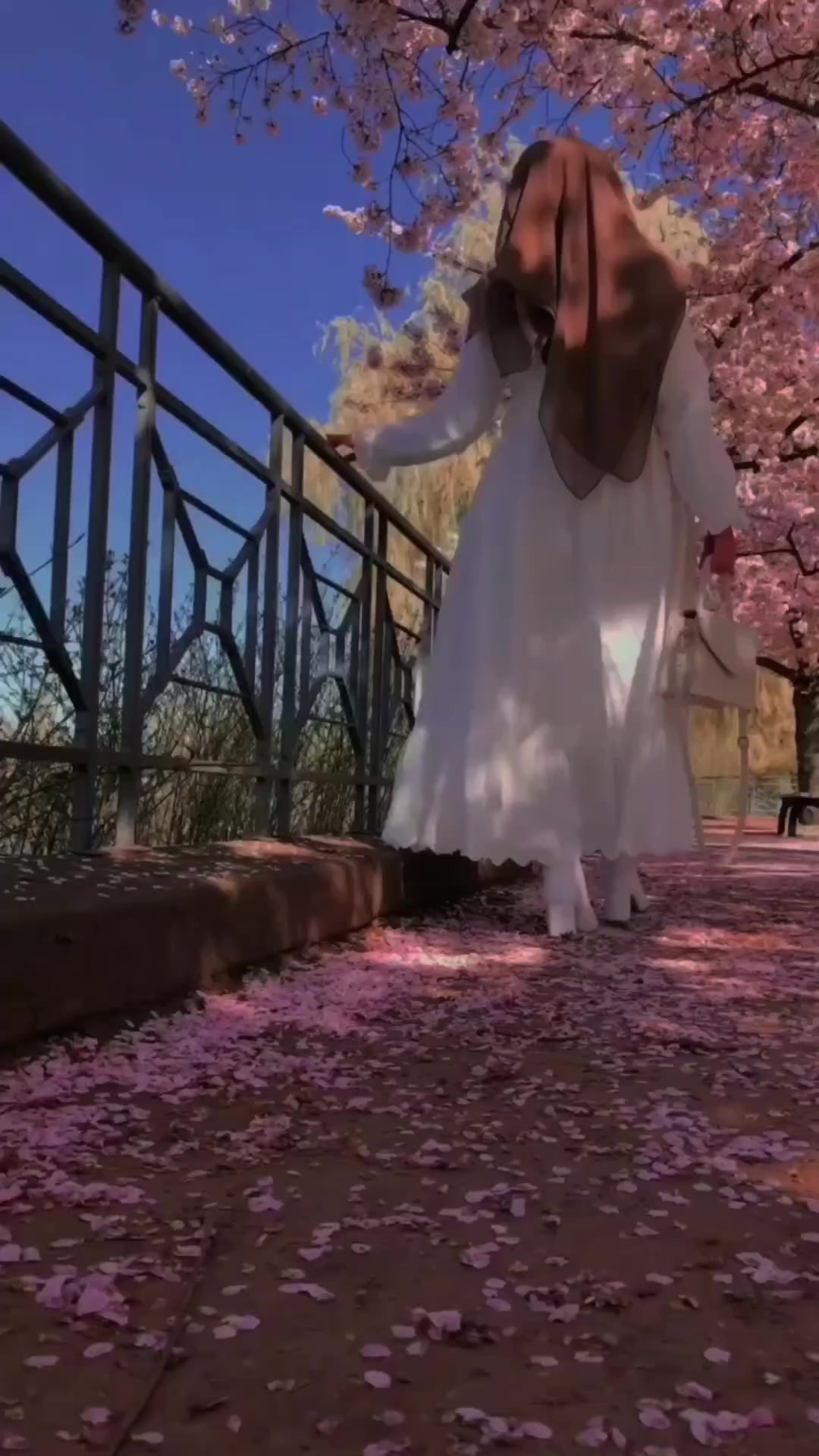 @⚘️ سـتـوريـات ☘️