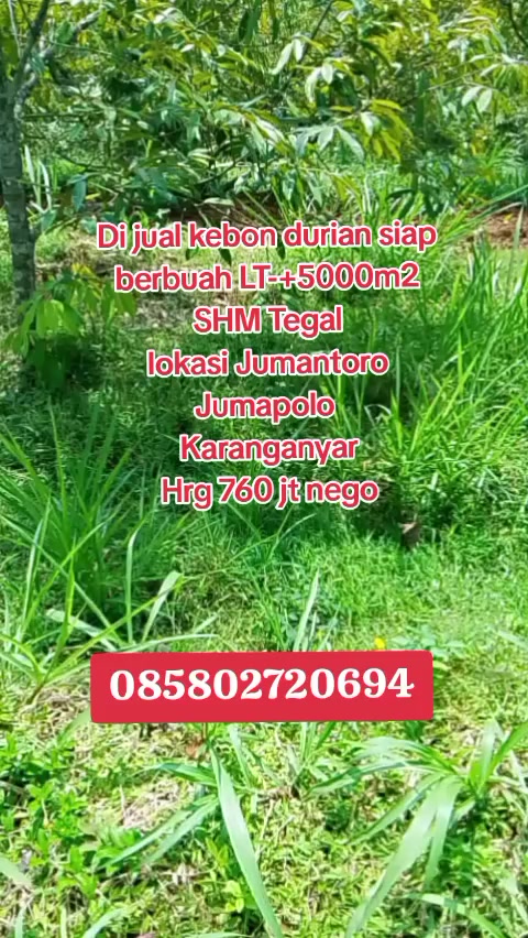 @Sapto property 010
