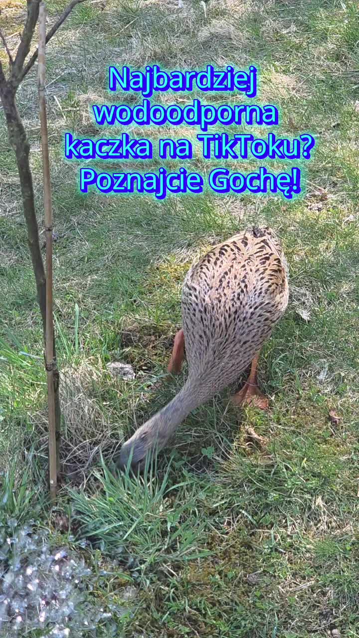 @@Kilarski.Prime