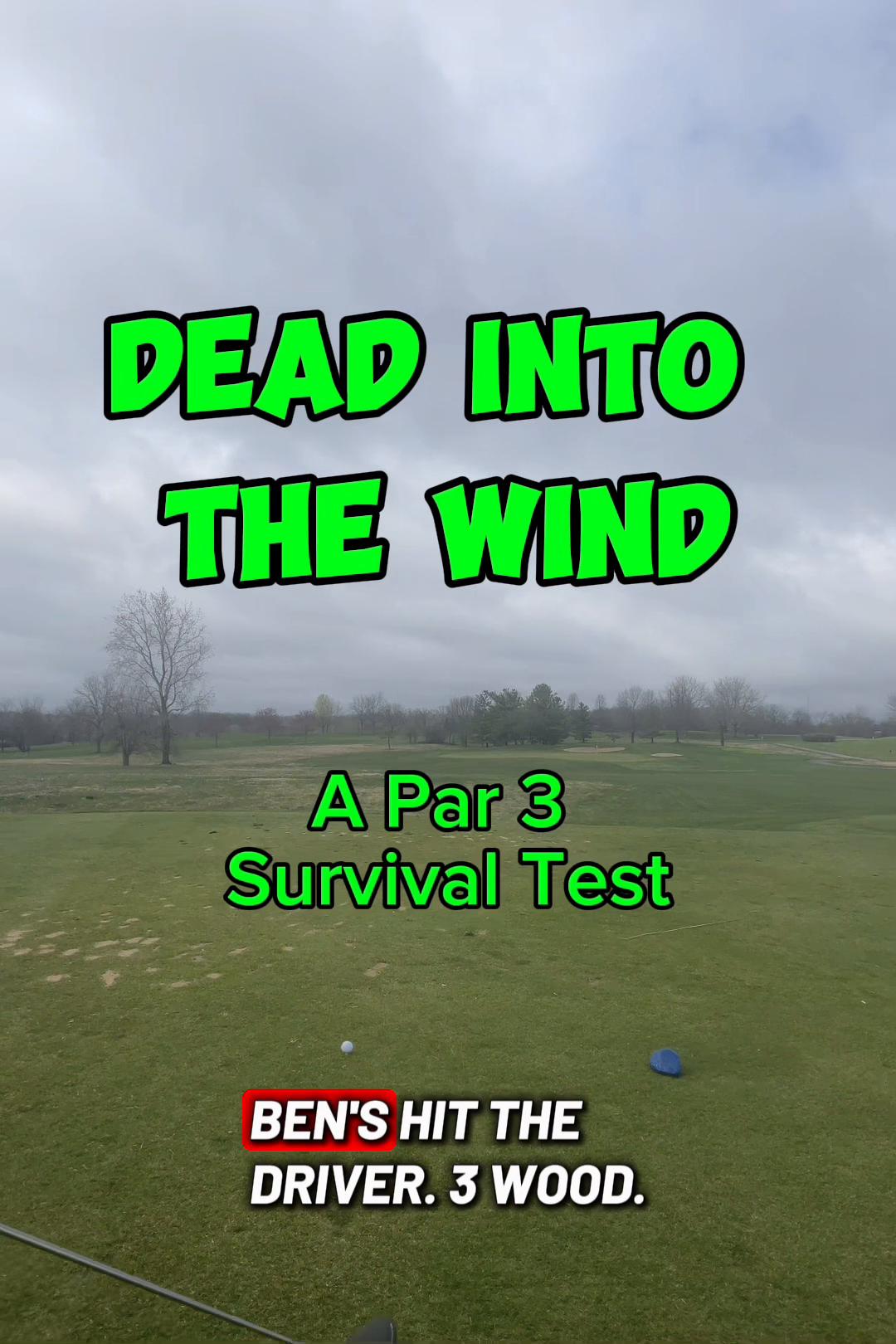 @desperateforpar