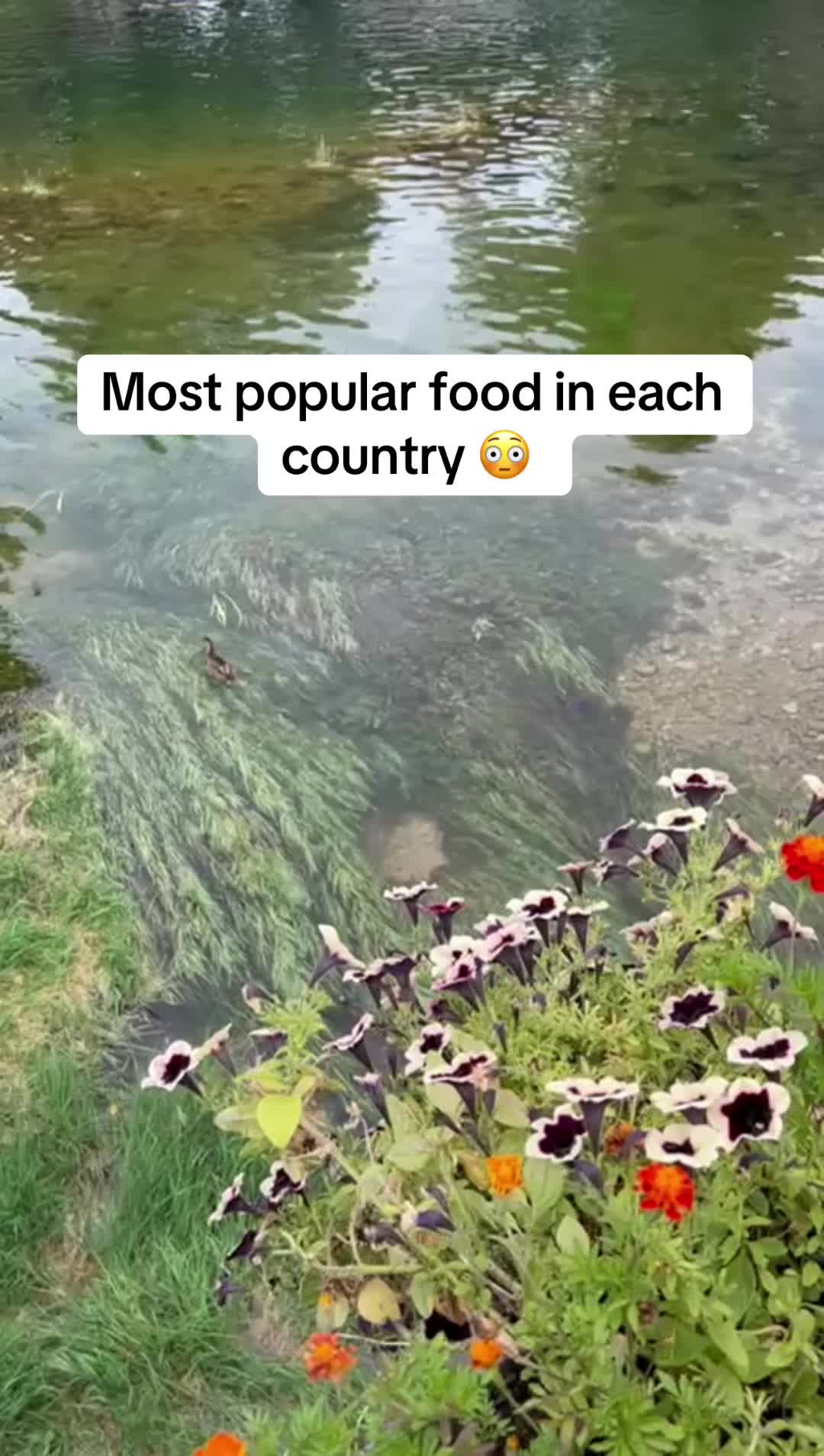 @Efacts