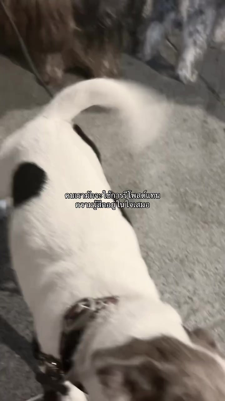 @ㅈ