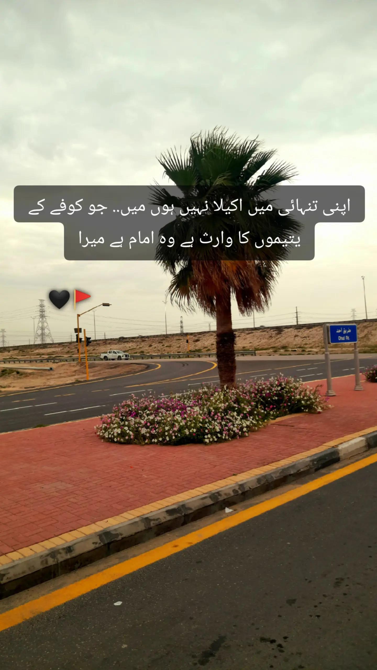 @Minahil_writes510
