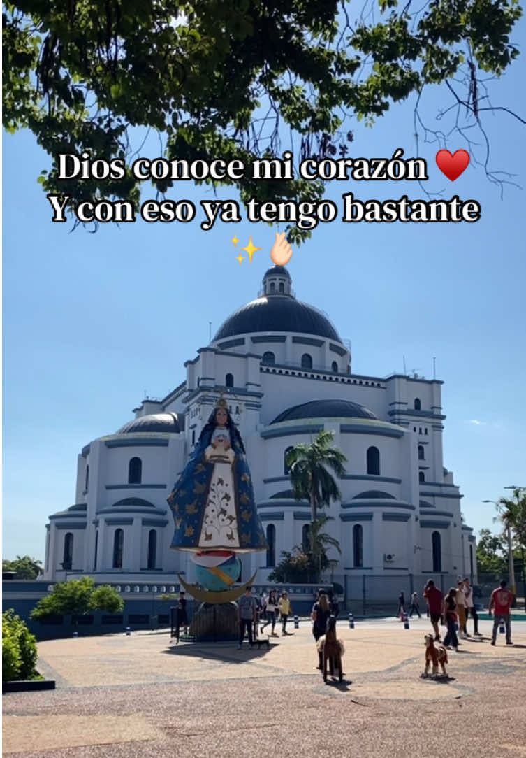 @Zzarahacosta