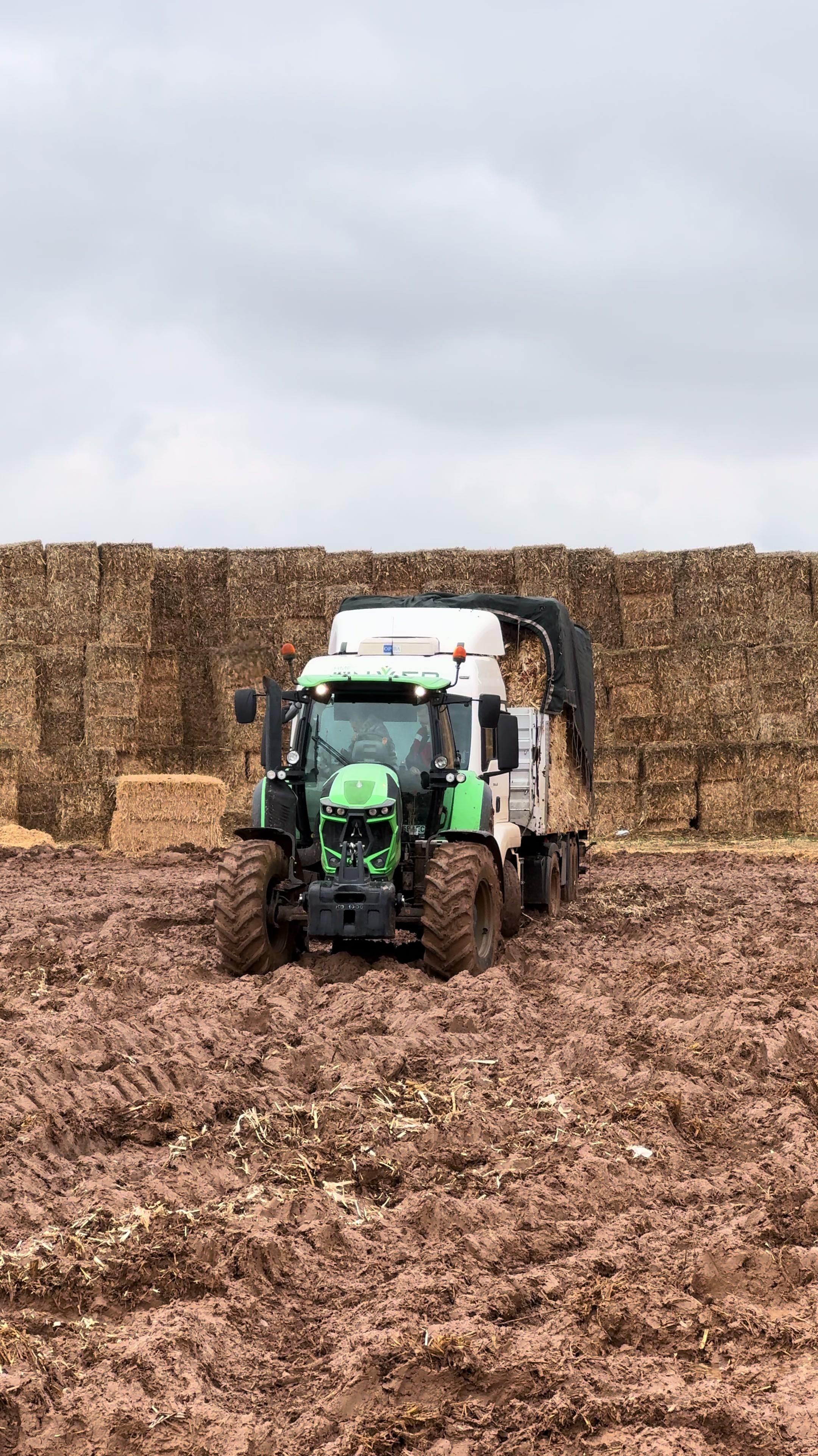 @𝐓𝐚𝐦𝐞𝐫 B𝐚𝐥𝐜̧ı𝐤