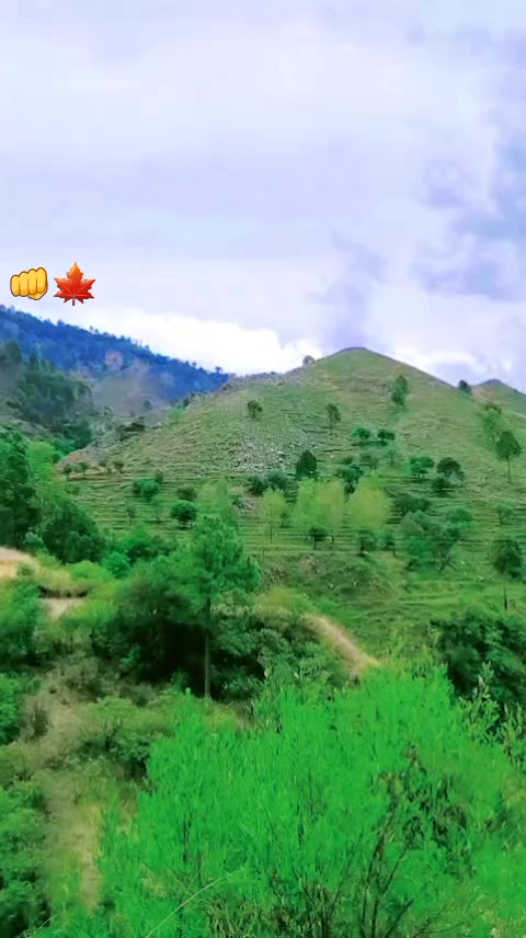 @Munazir_Abbasi👑