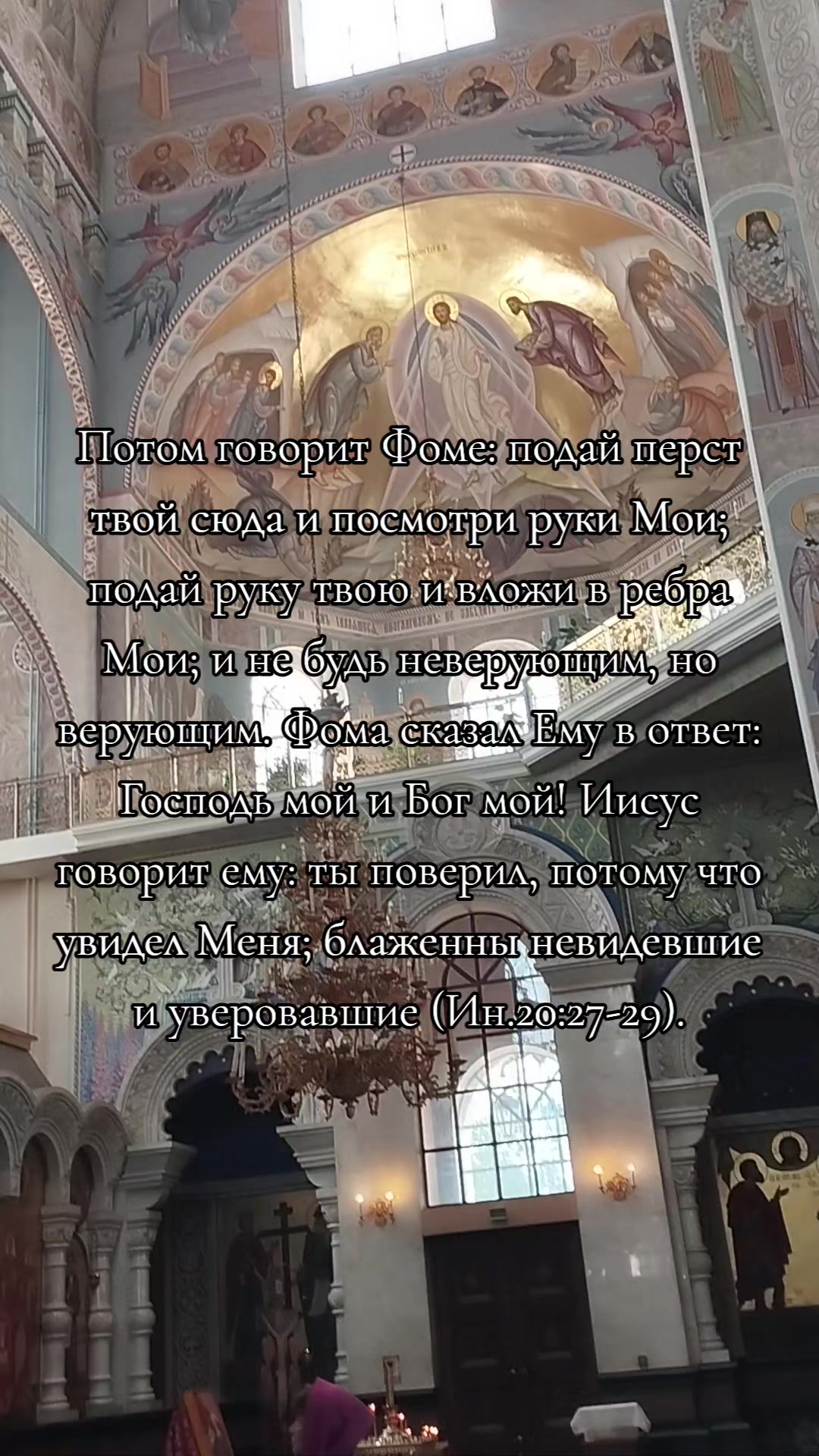 @DASHенция