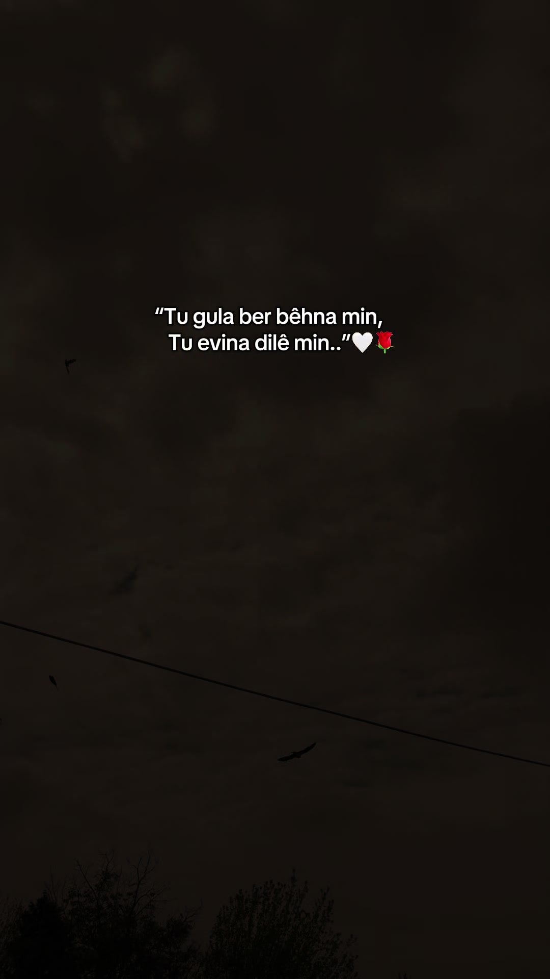 @meralsimsekk1