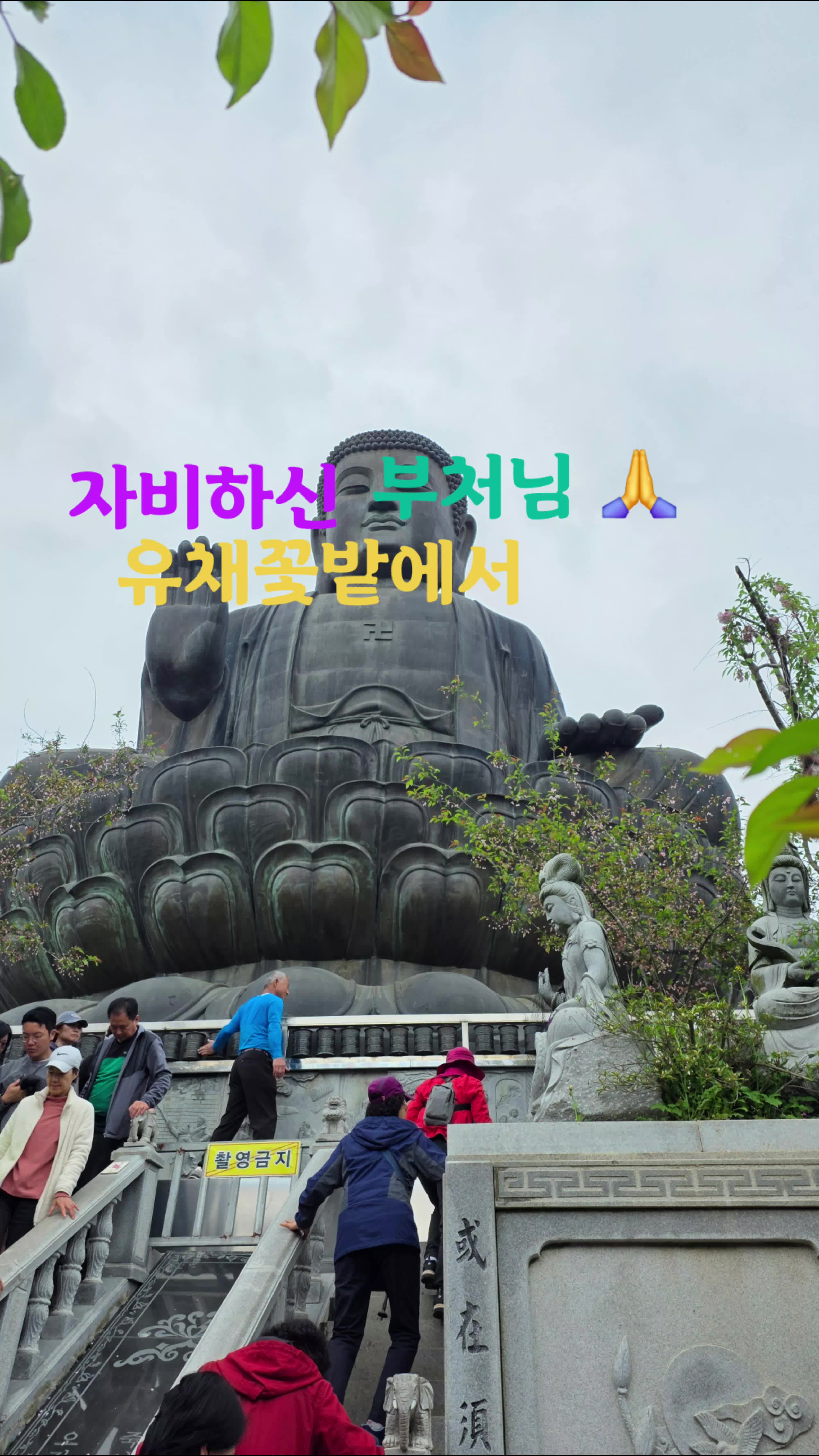 @요리 잘하는 이사임당