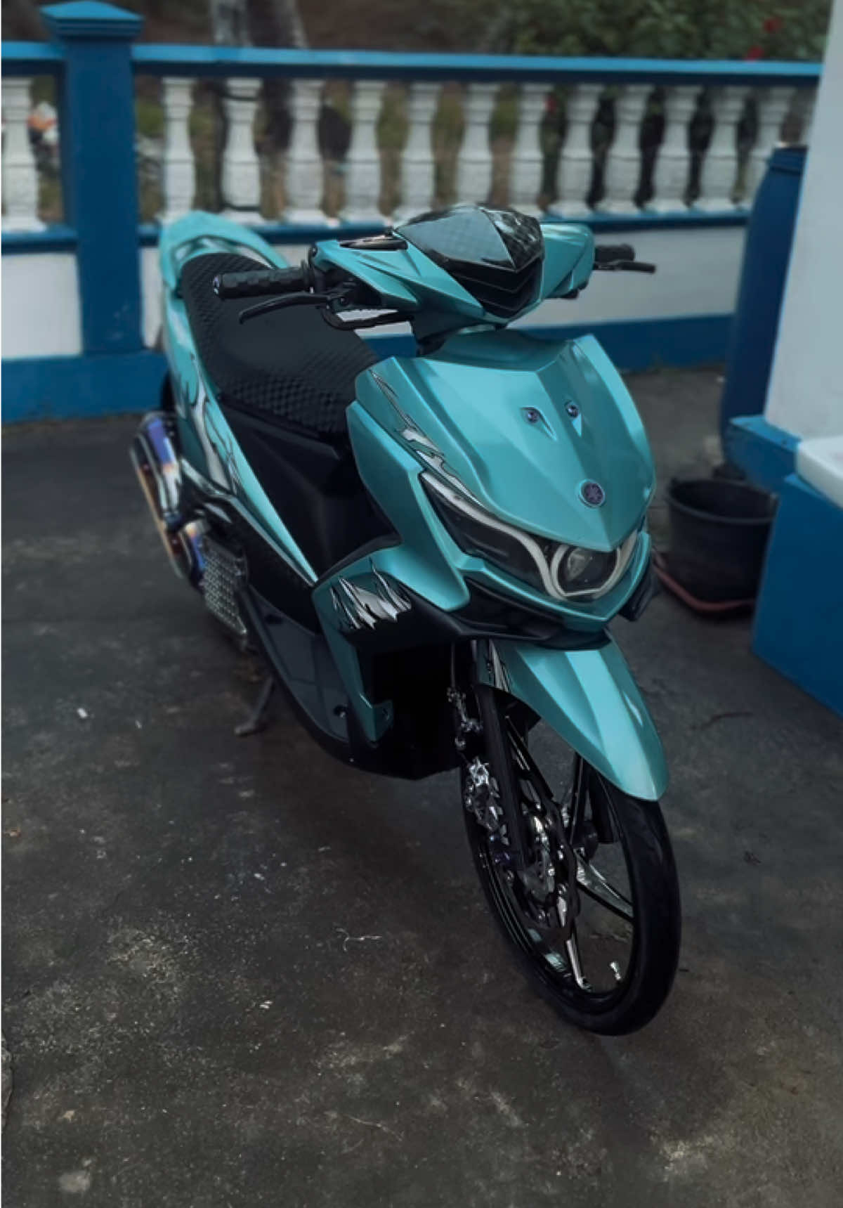 @Xenzy🇻🇳