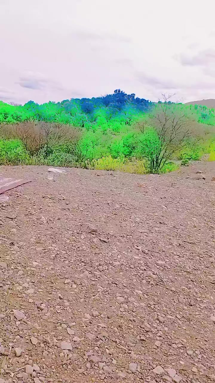 @🇦🇫꧁༺ӄɦǟաǟɢǟ ʐǟʀ༻꧂🇦🇫