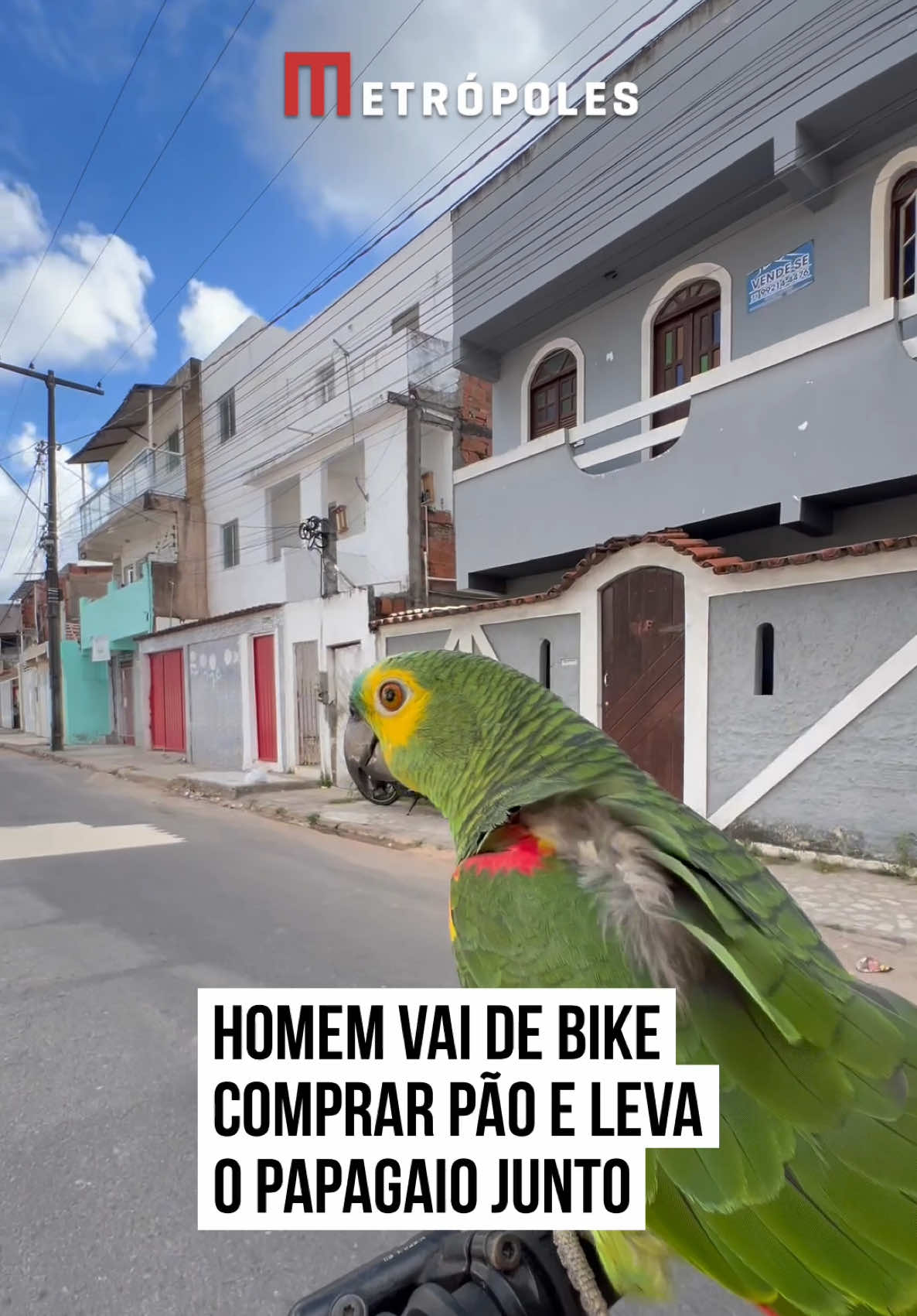 @Metr&oacute;poles Oficial
