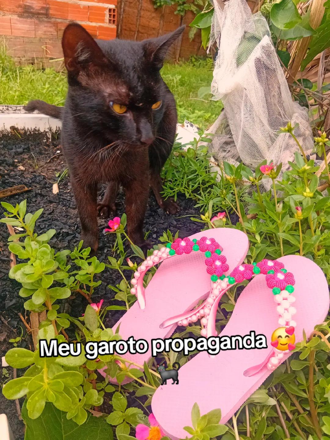 @🦋Maria Lima🌻
