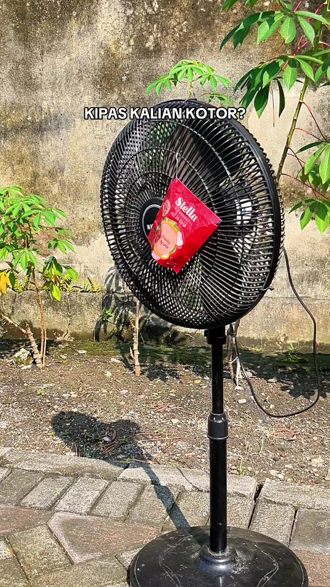 @ApipBakol!