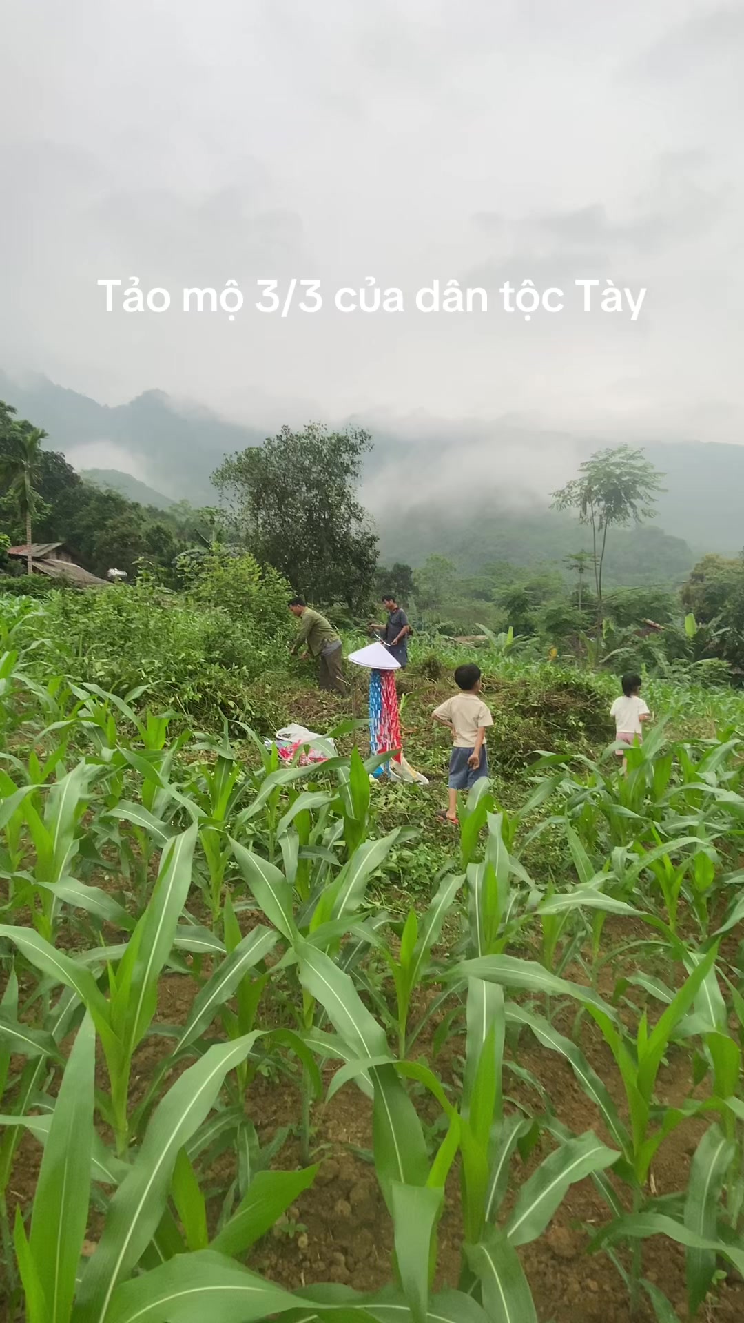 @Phượng ớt 💚
