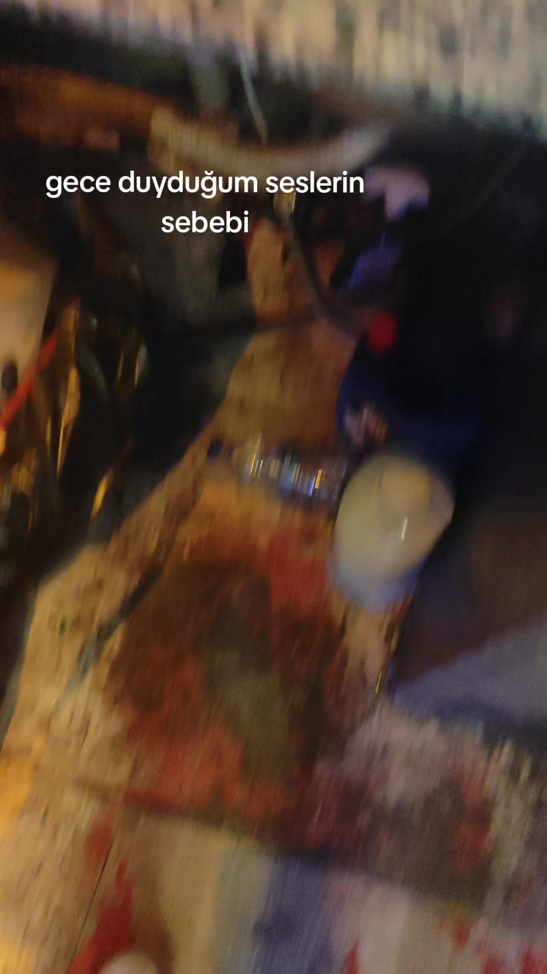 @recep toy