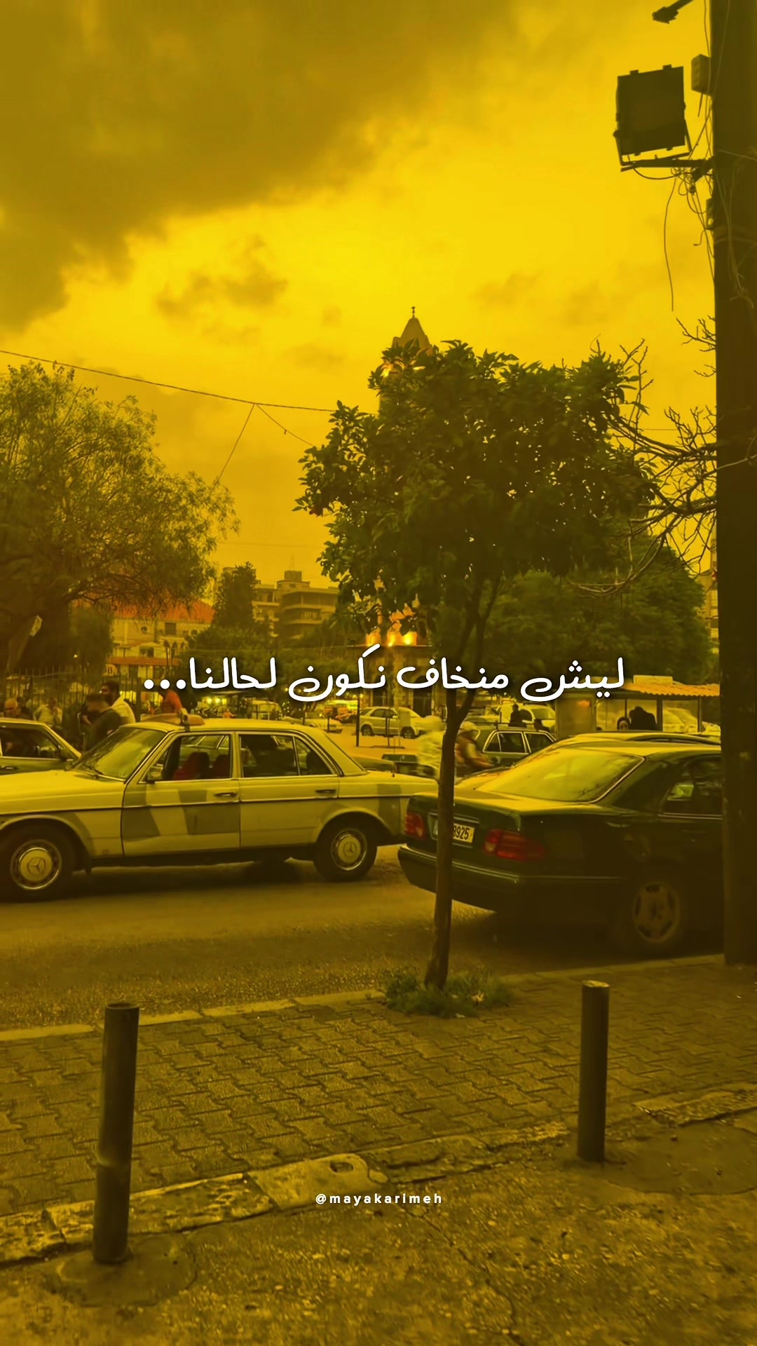 @MAYA O. Karimeh