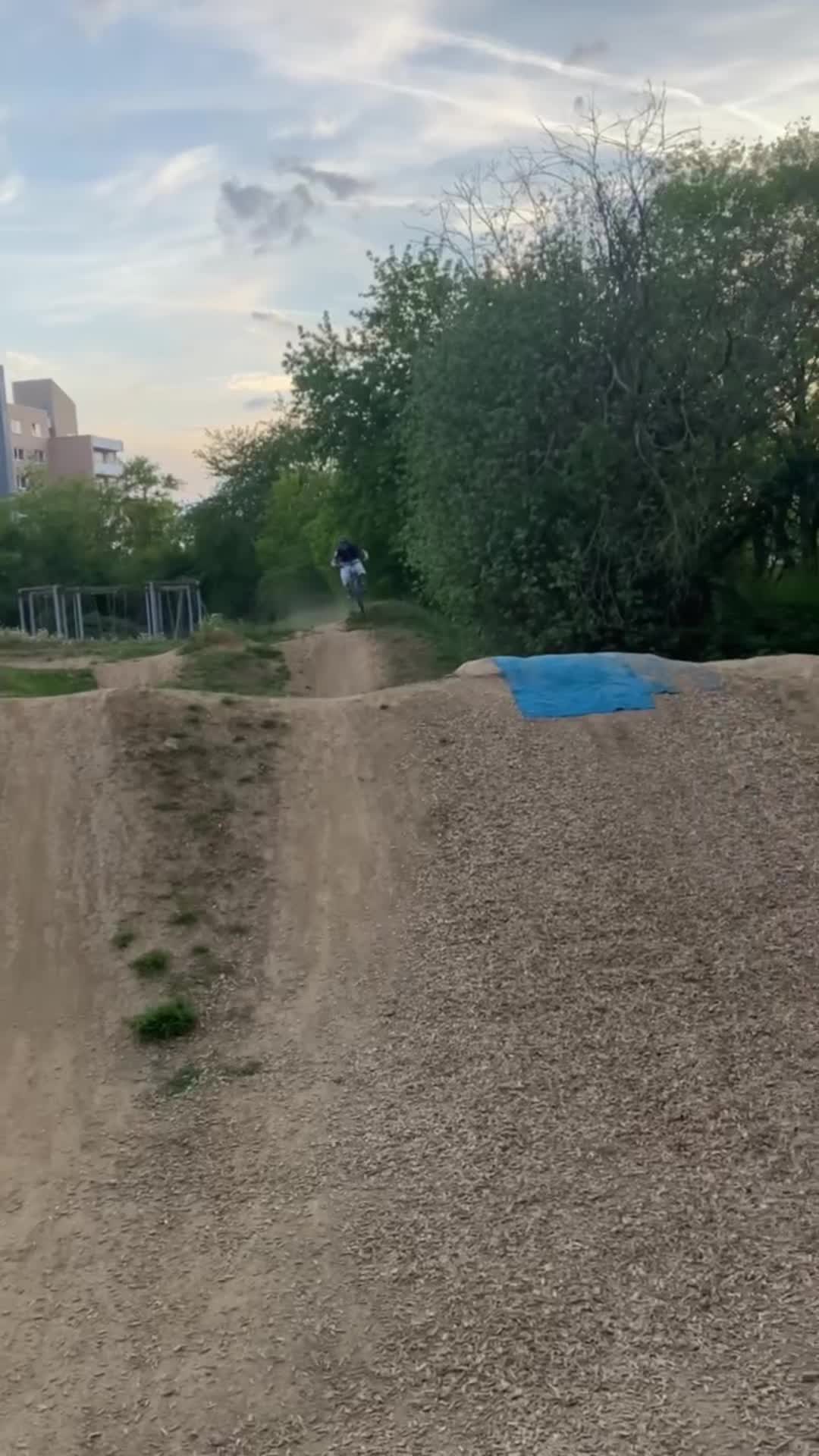 @Willi.Propain🌲⚡️