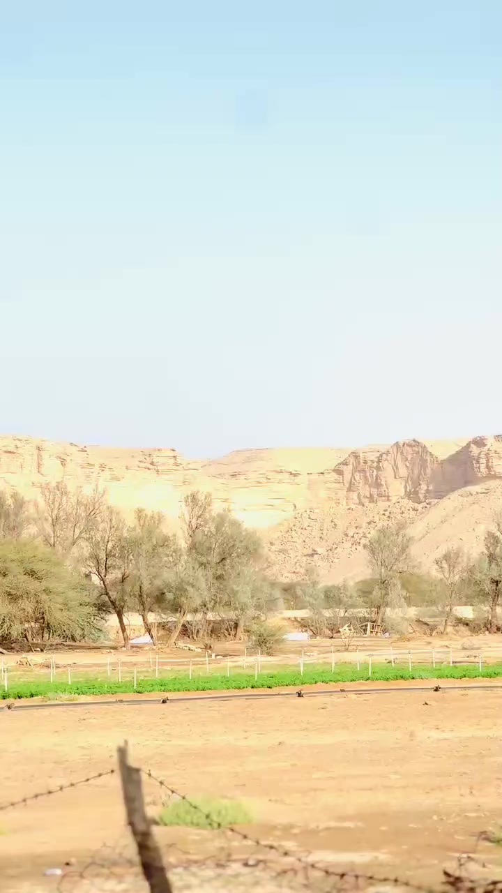@PARDESI 🇸🇦🇸🇦🇸🇦