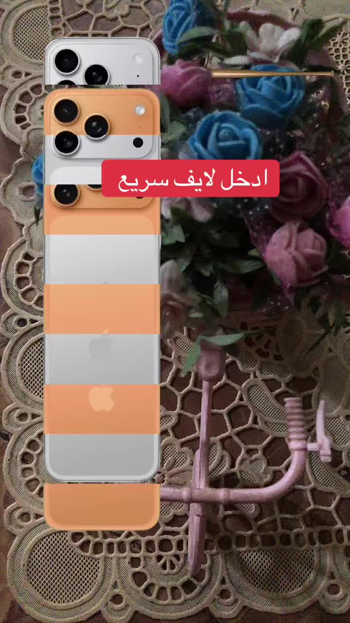 @noeral88