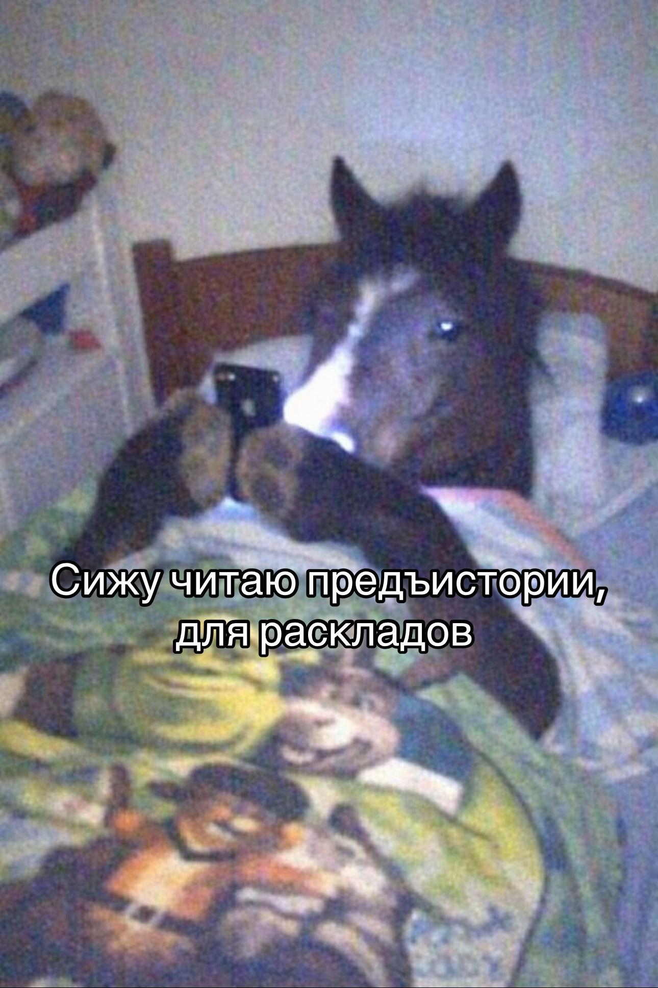 @ТГК:taroyannm
