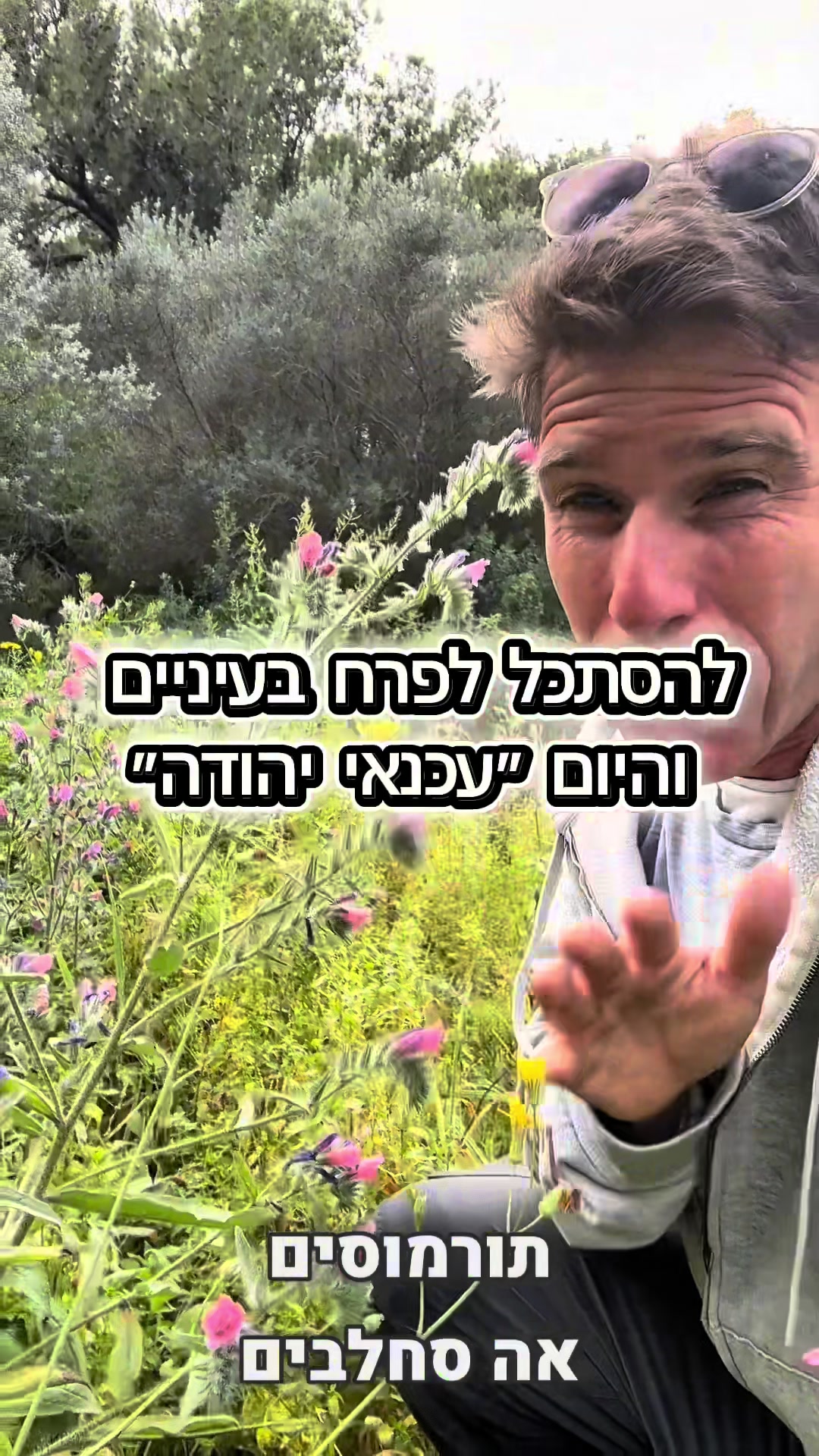 @המורה לשל"ח - הרצאות חינוך