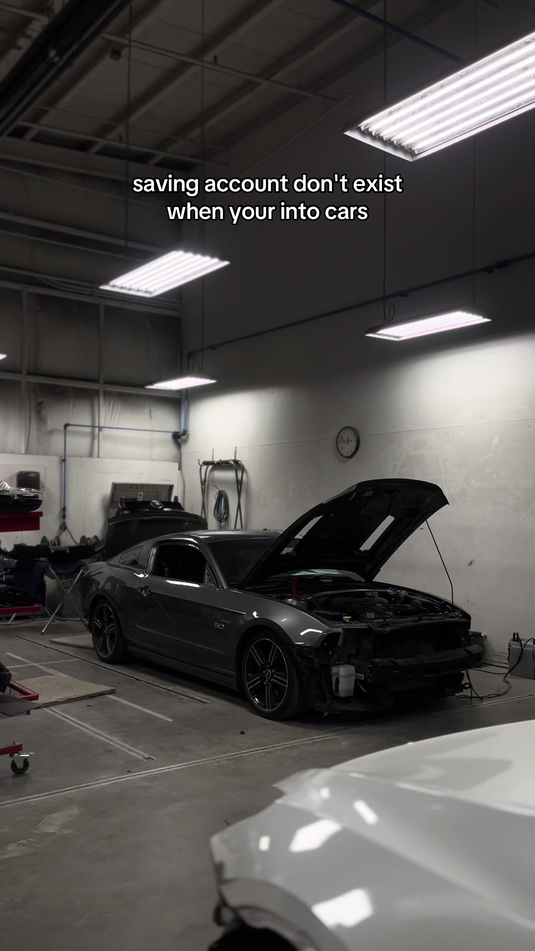 @Selena5.0