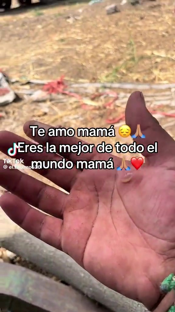 @Sebastian Mu&ntilde;oz