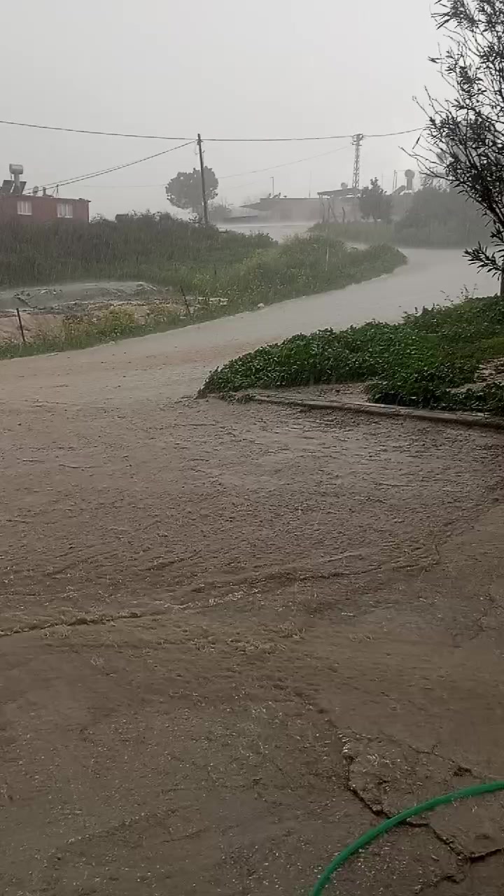 @hanım ağa