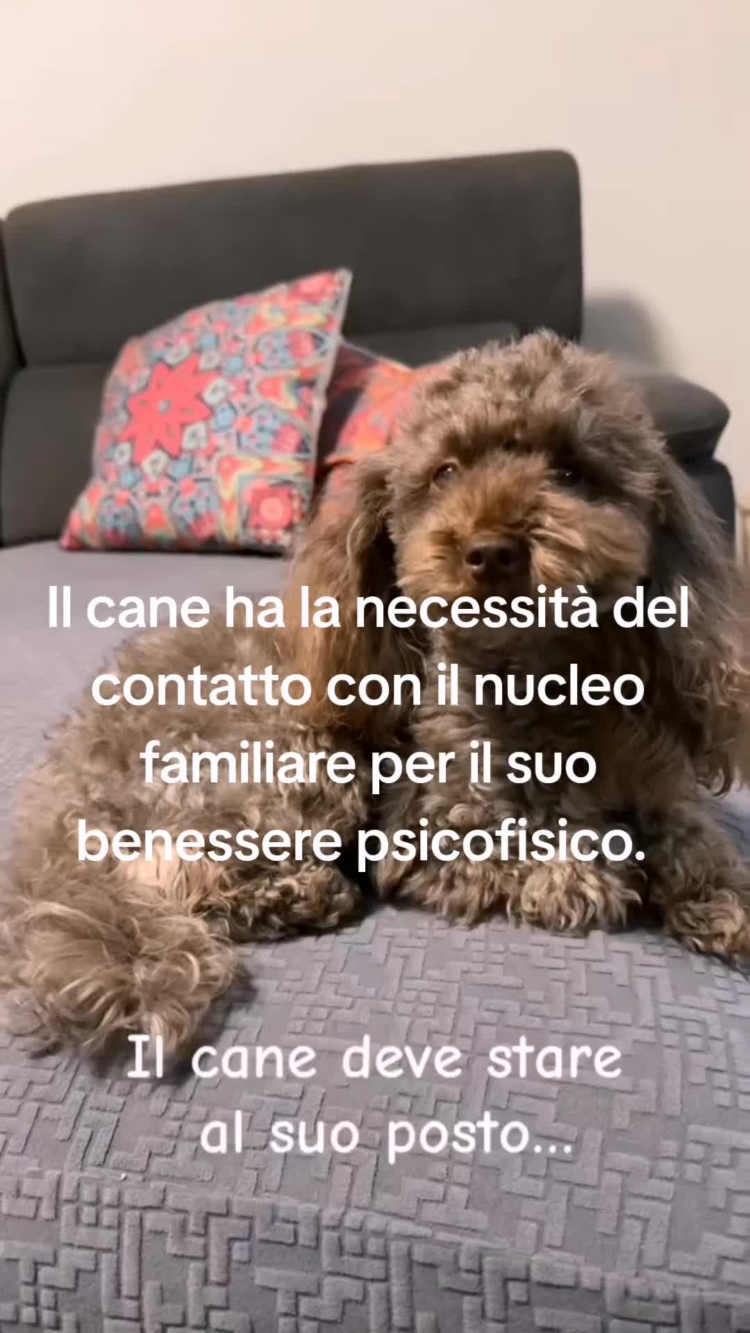 @- MARIO -