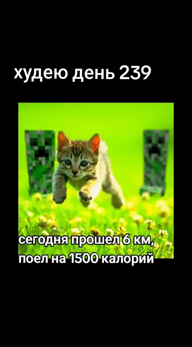 @ХУДЕЮ CUT