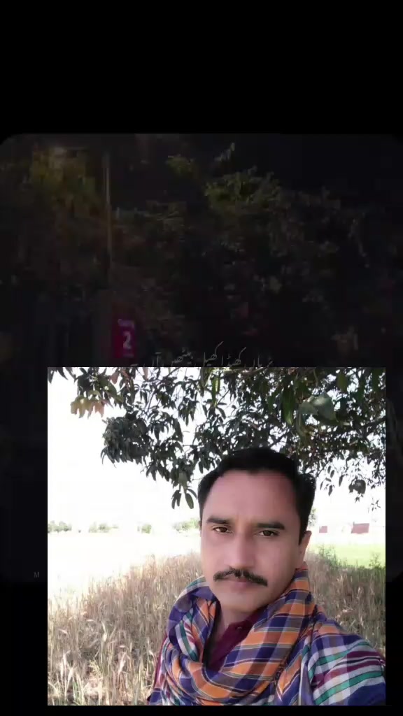 @M Shahbaz