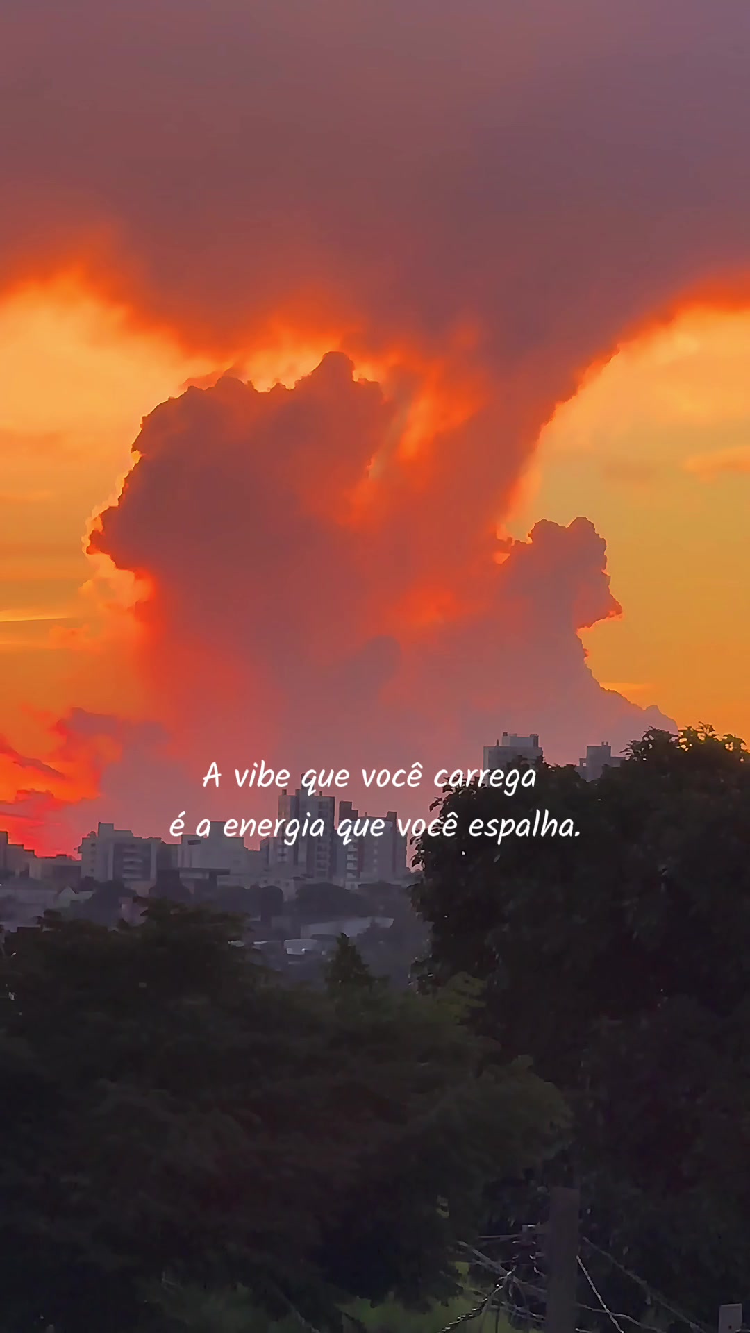 @Rosane ☾𖤓