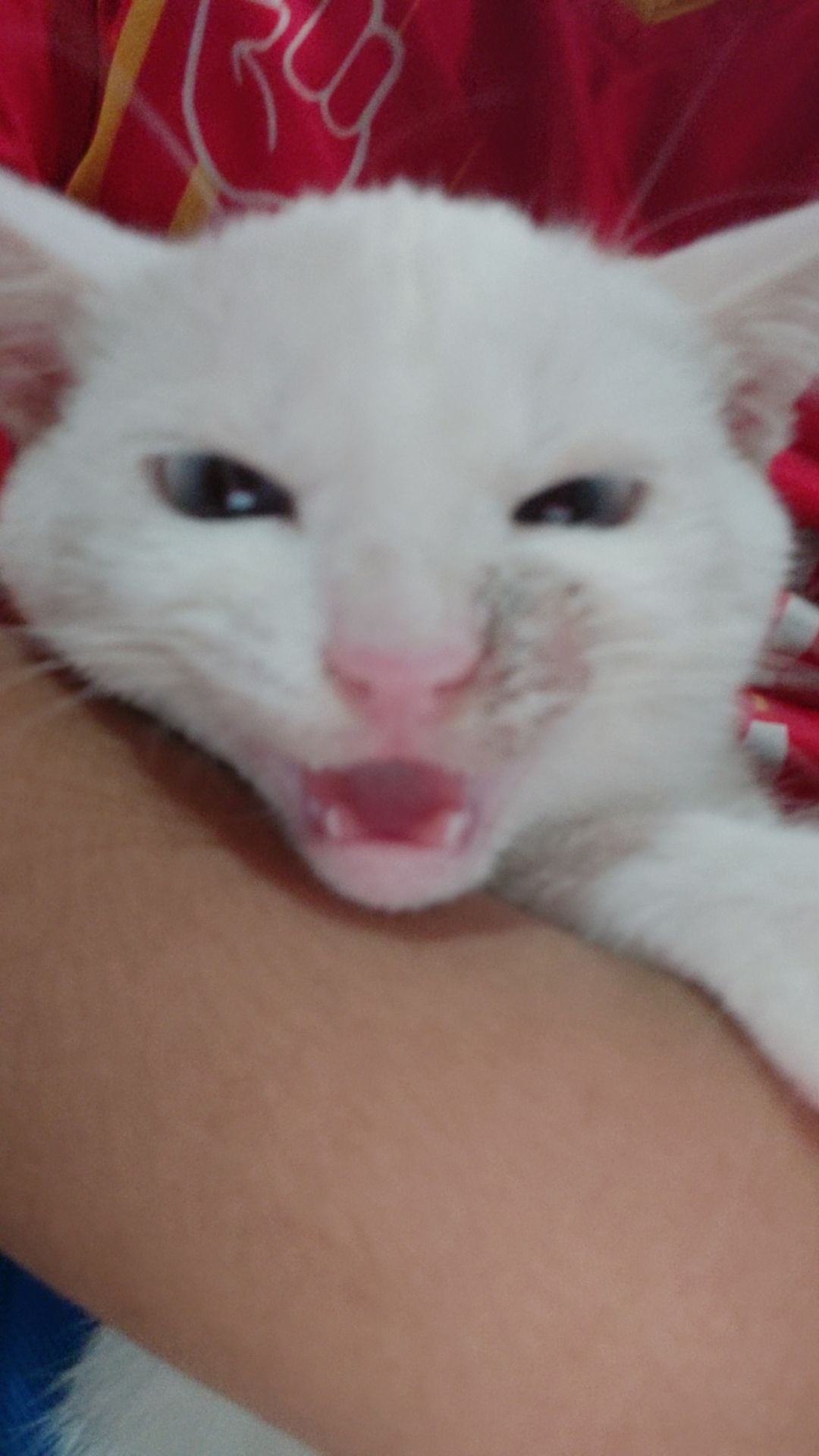 @Inihaw Na Yelo