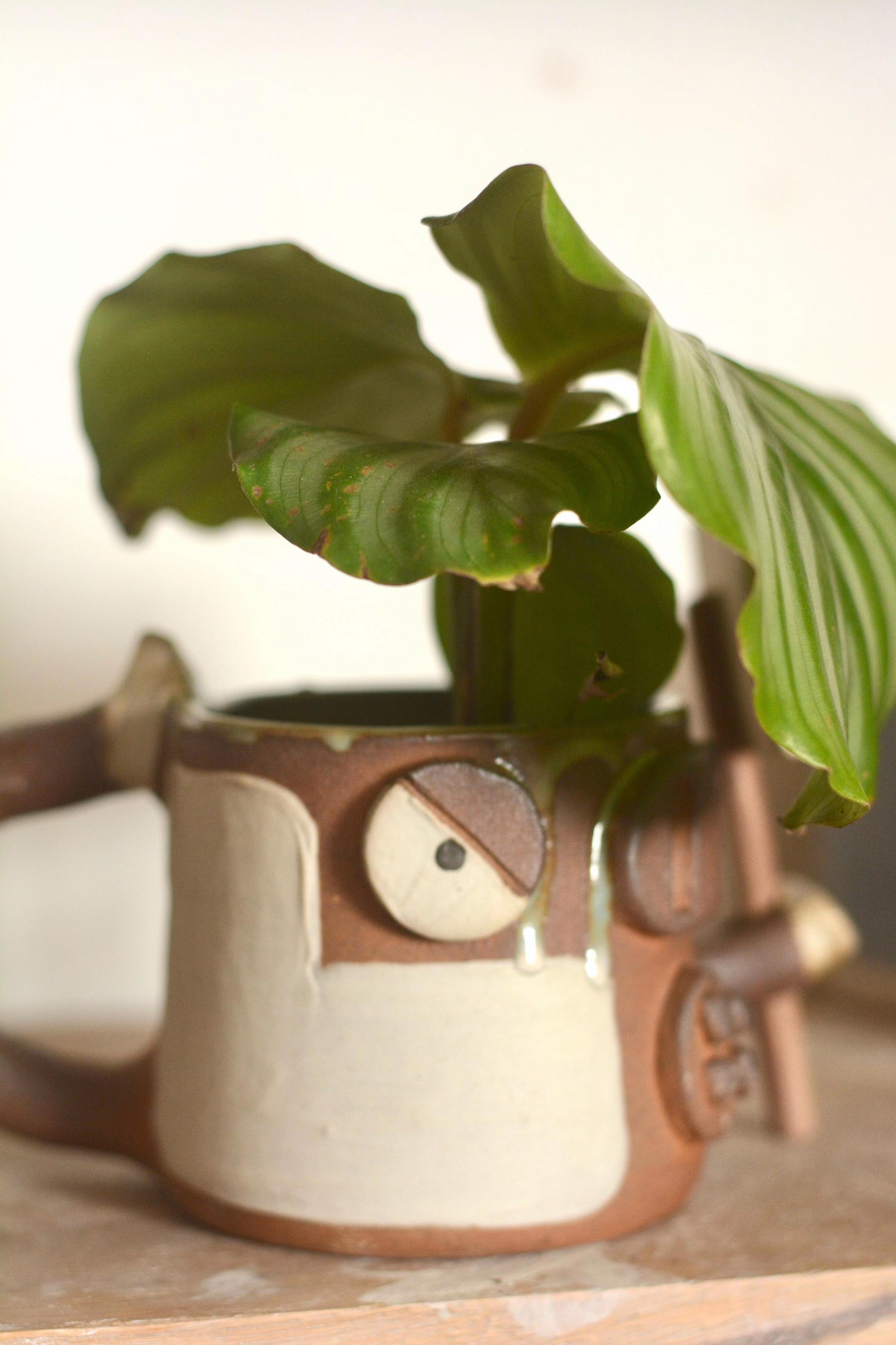 @Sevenpots