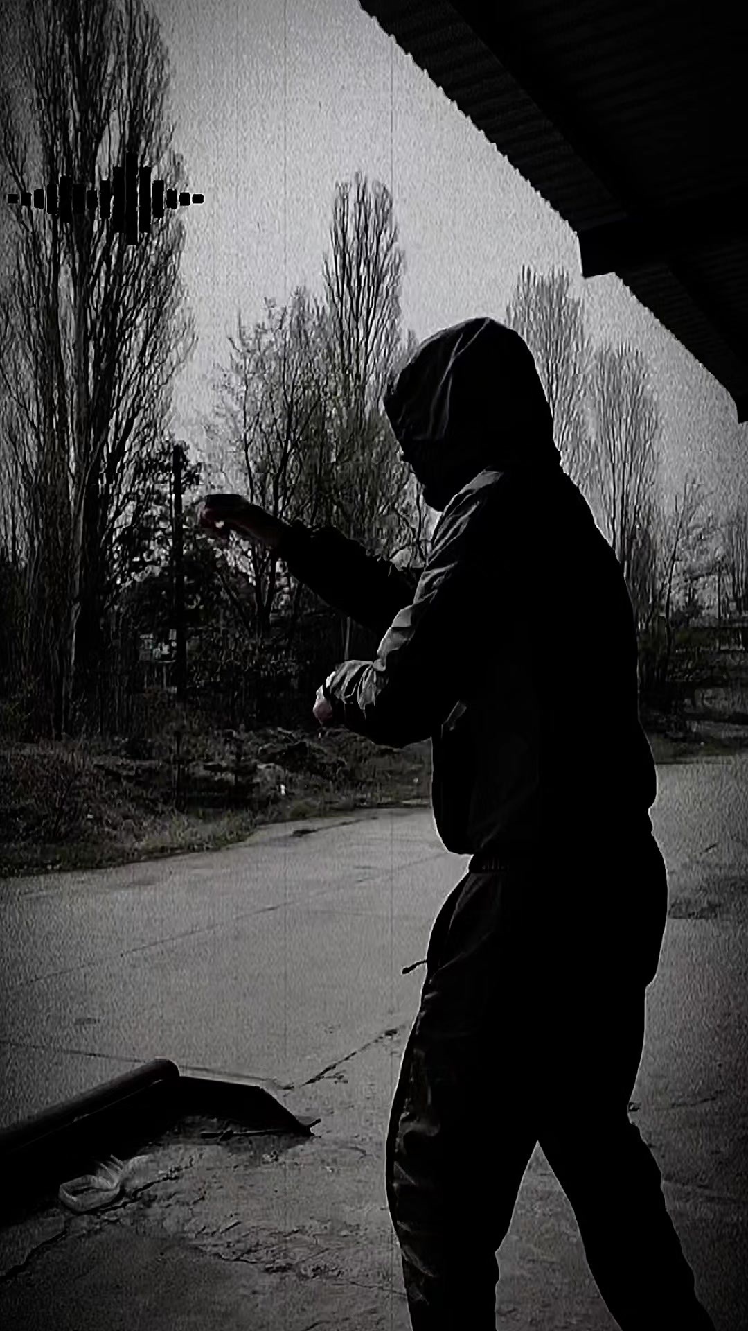 @_Krolik_444