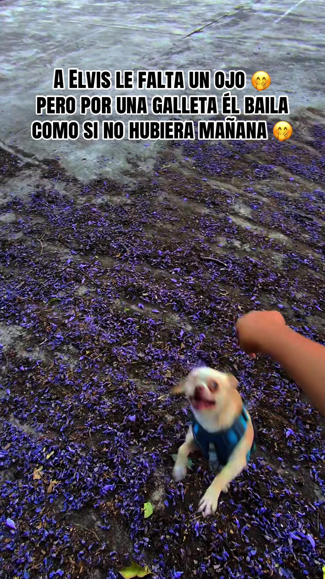 @Analy Lop