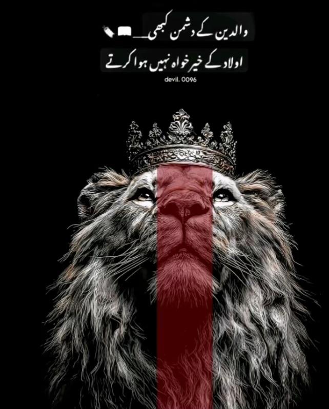 @G.K shahzdy🤭✌️
