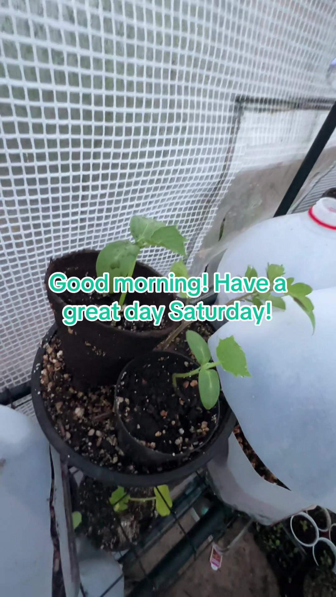 @ᏫᏫᏥᎯᎥᎽᎯᏲ