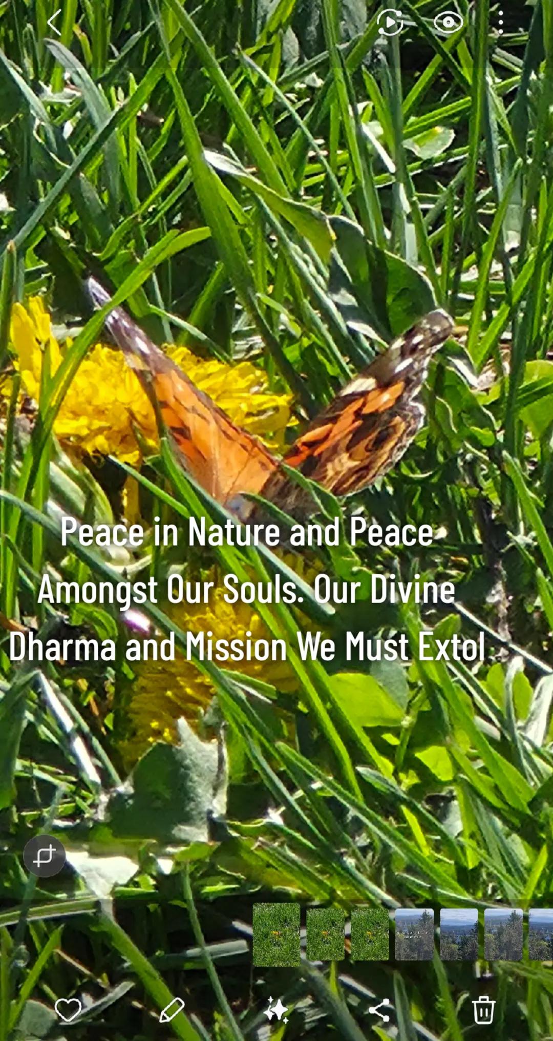 @The Lived Insight Rises