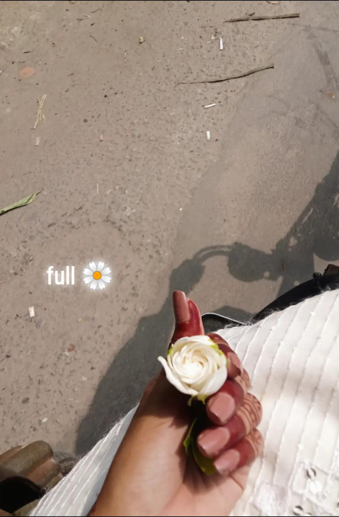 @Odhora.Otho🕊️