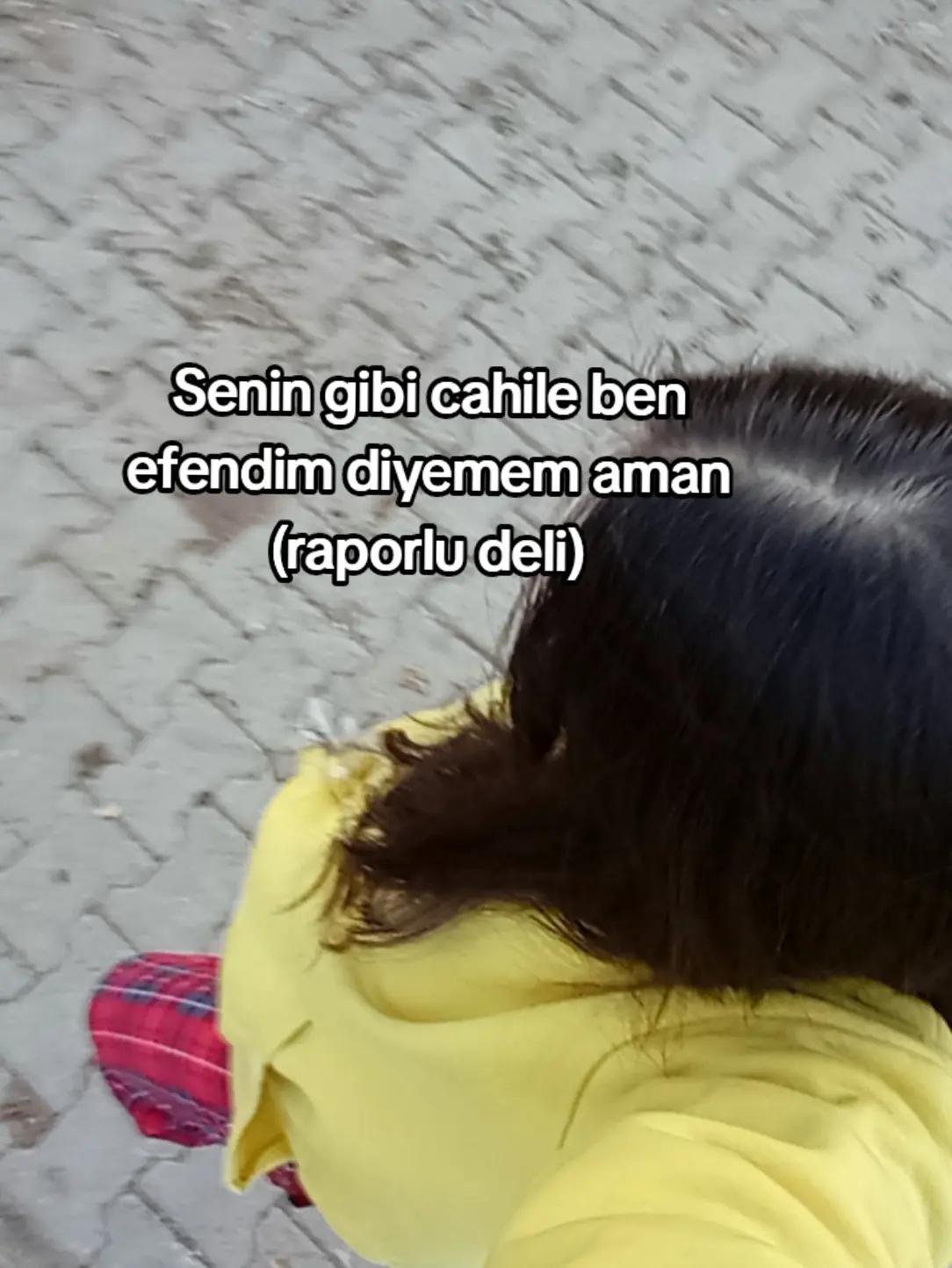 @Raziye T.