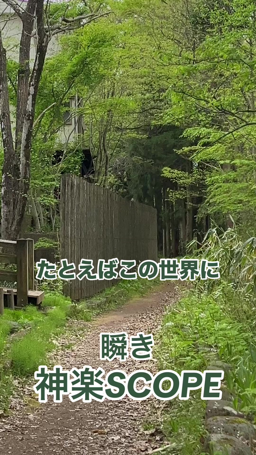 @神奈川大好き🤜💚🤛