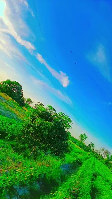 @Sandesh Bheel