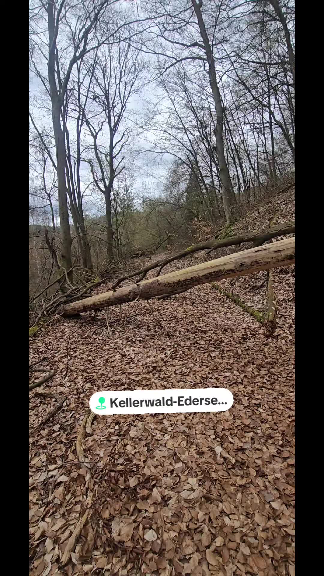 @🇱🇹Andreytravel🇩🇪