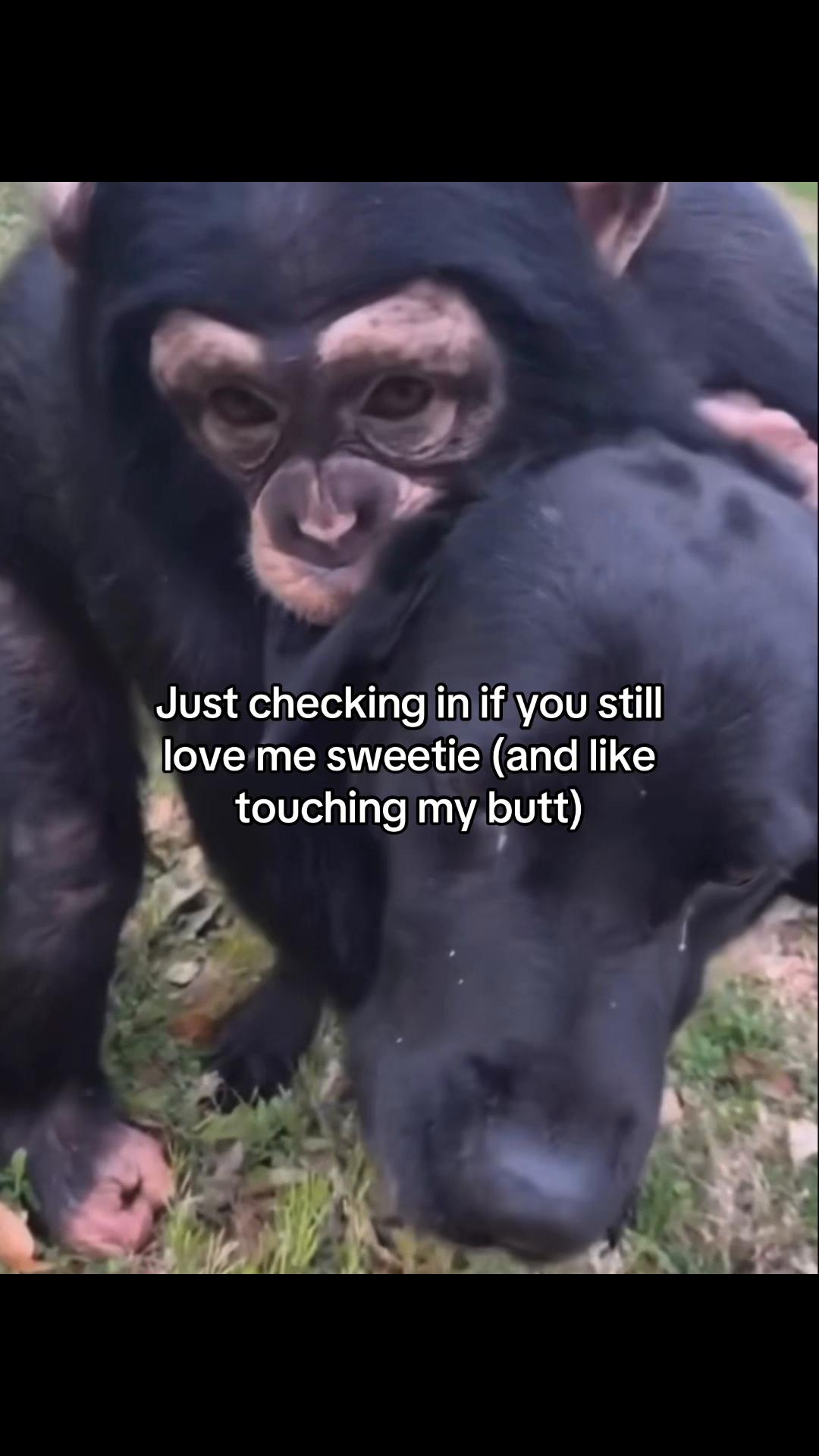 @Rocky