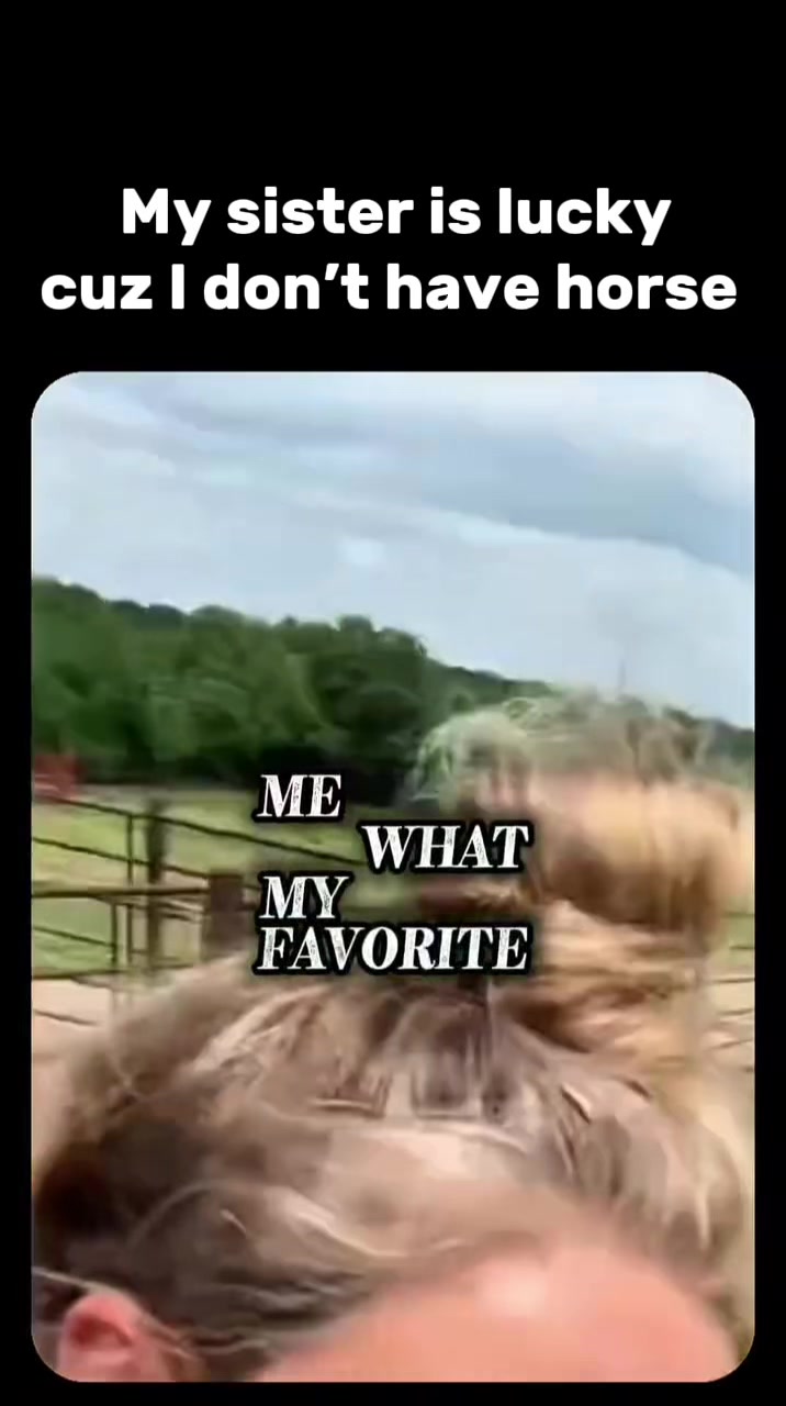 @MemeLand