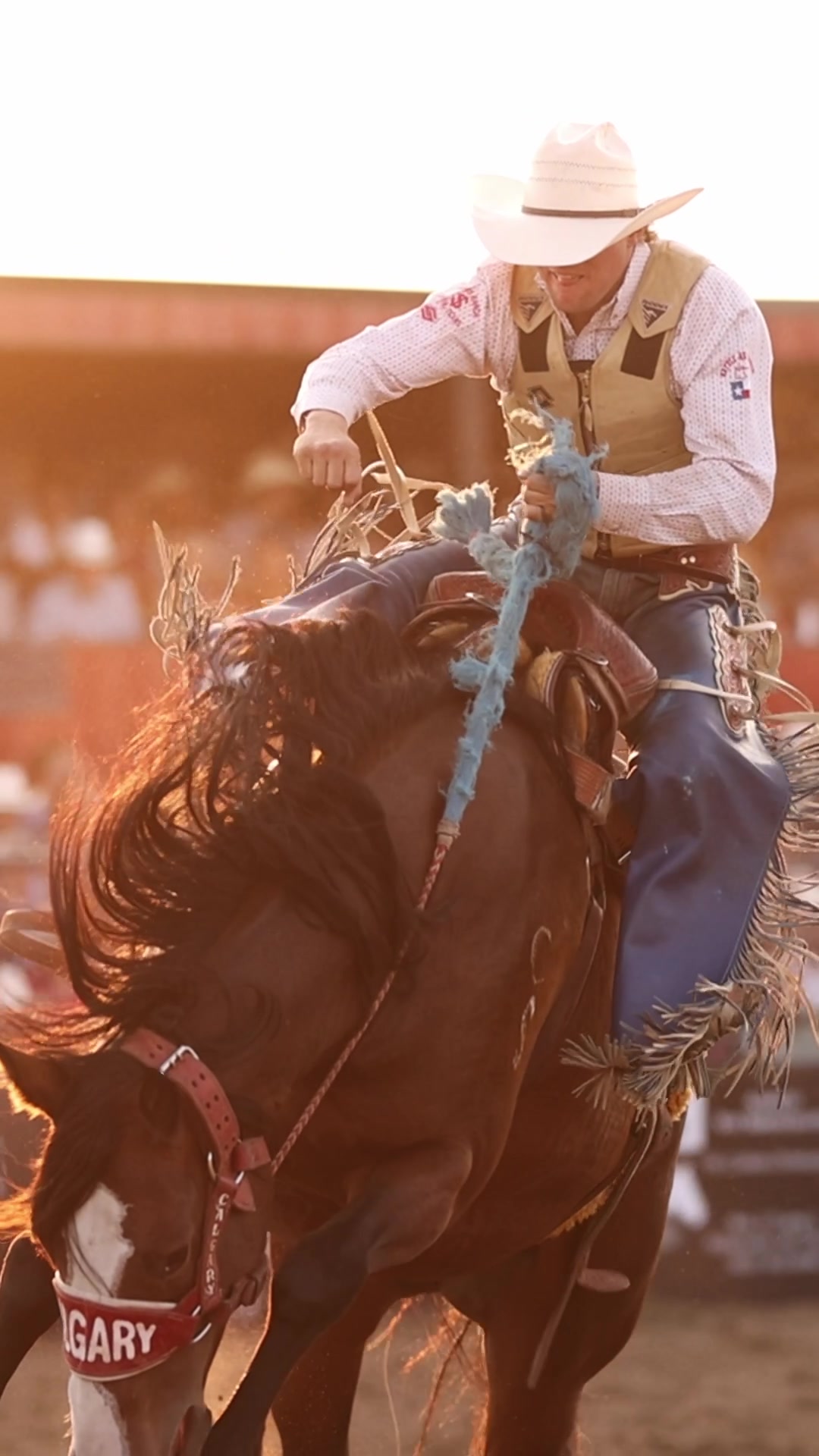 @Hanginghorses