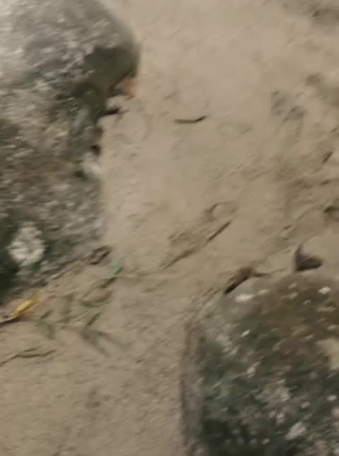 @jijo78